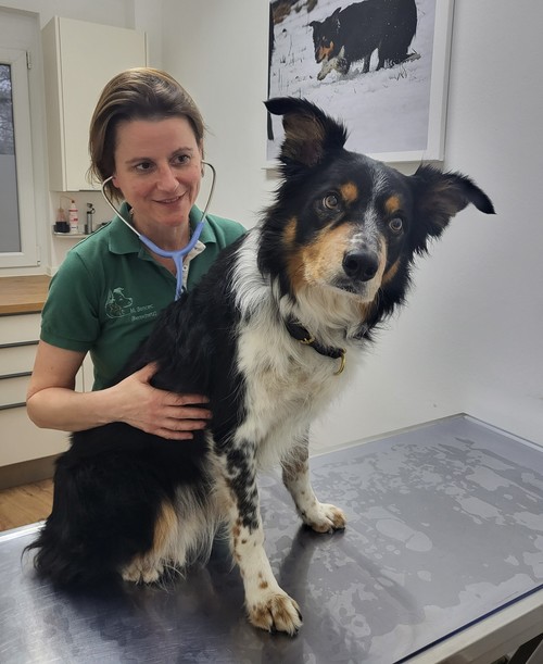 Zentrum für Tiergesundheit Linkenheim-Hochstetten - unsere Vision